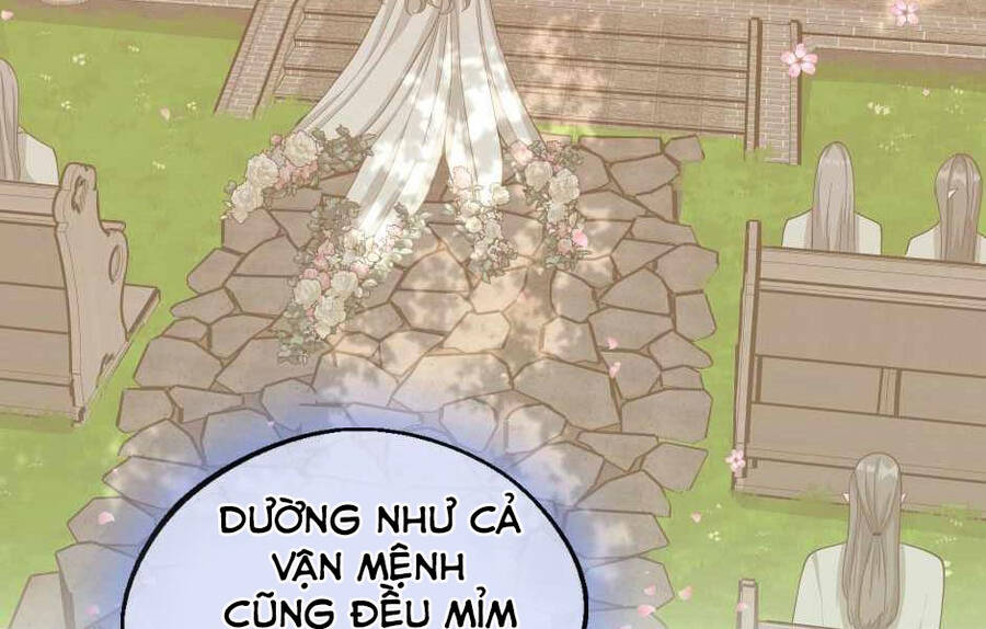 Ánh Sáng Cuối Con Đường: Chương 131