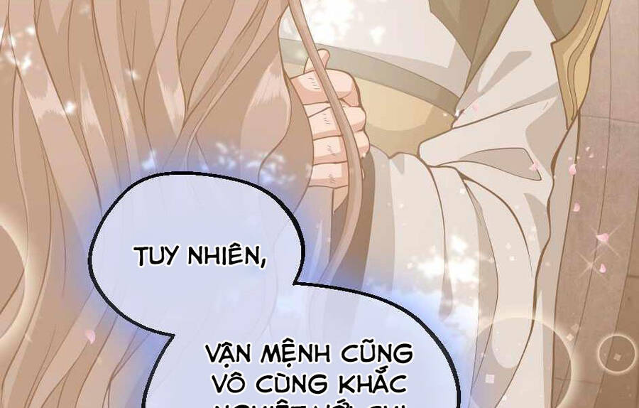 Ánh Sáng Cuối Con Đường: Chương 131