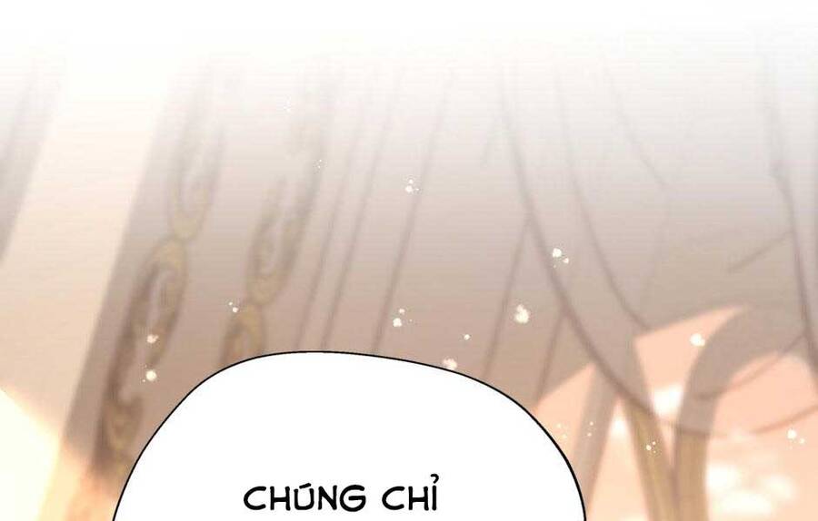 Ánh Sáng Cuối Con Đường: Chương 146