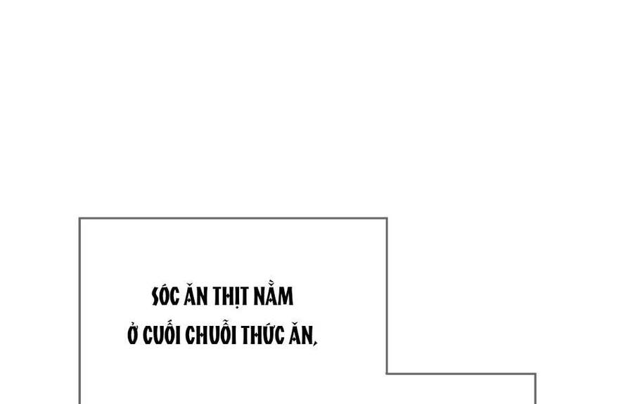 Ánh Sáng Cuối Con Đường: Chương 155