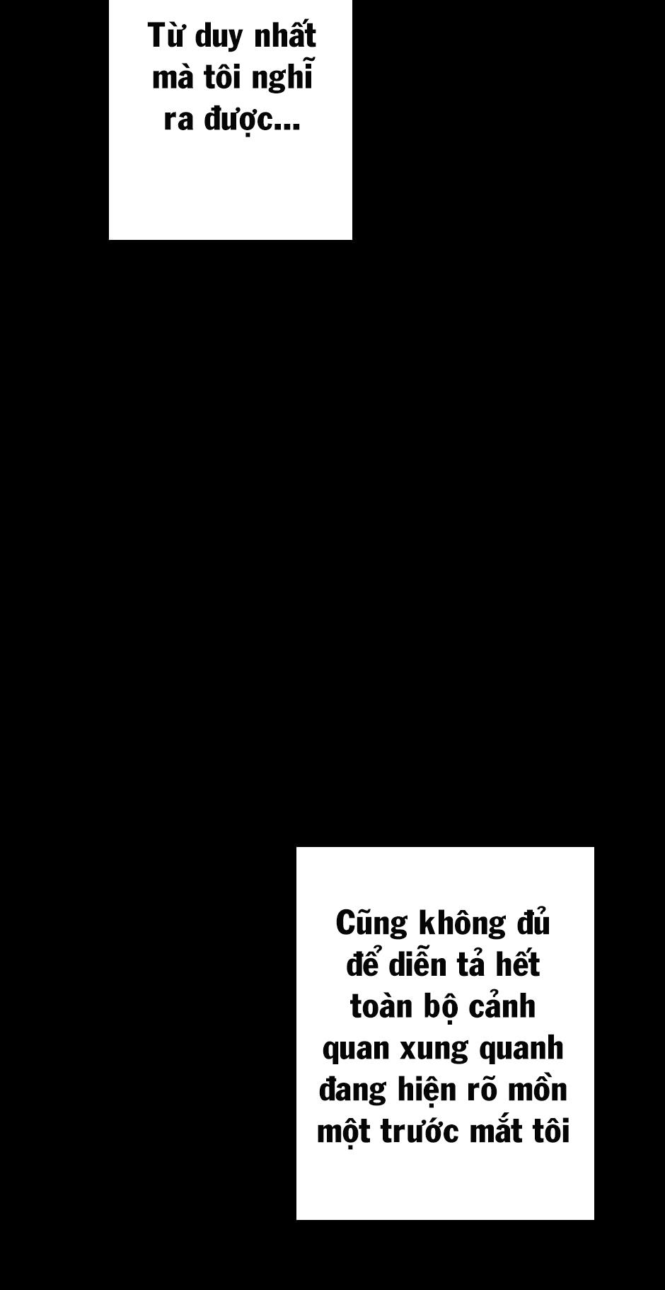 Ánh Sáng Cuối Con Đường: Chương 20