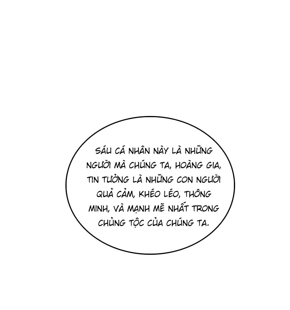 Ánh Sáng Cuối Con Đường: Chương 82