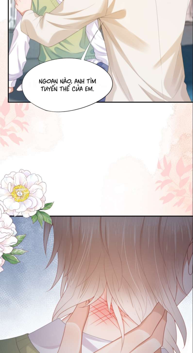 Phương Thức Chính Thức Giải Cứu Tiểu Đáng Thương: Chapter 25