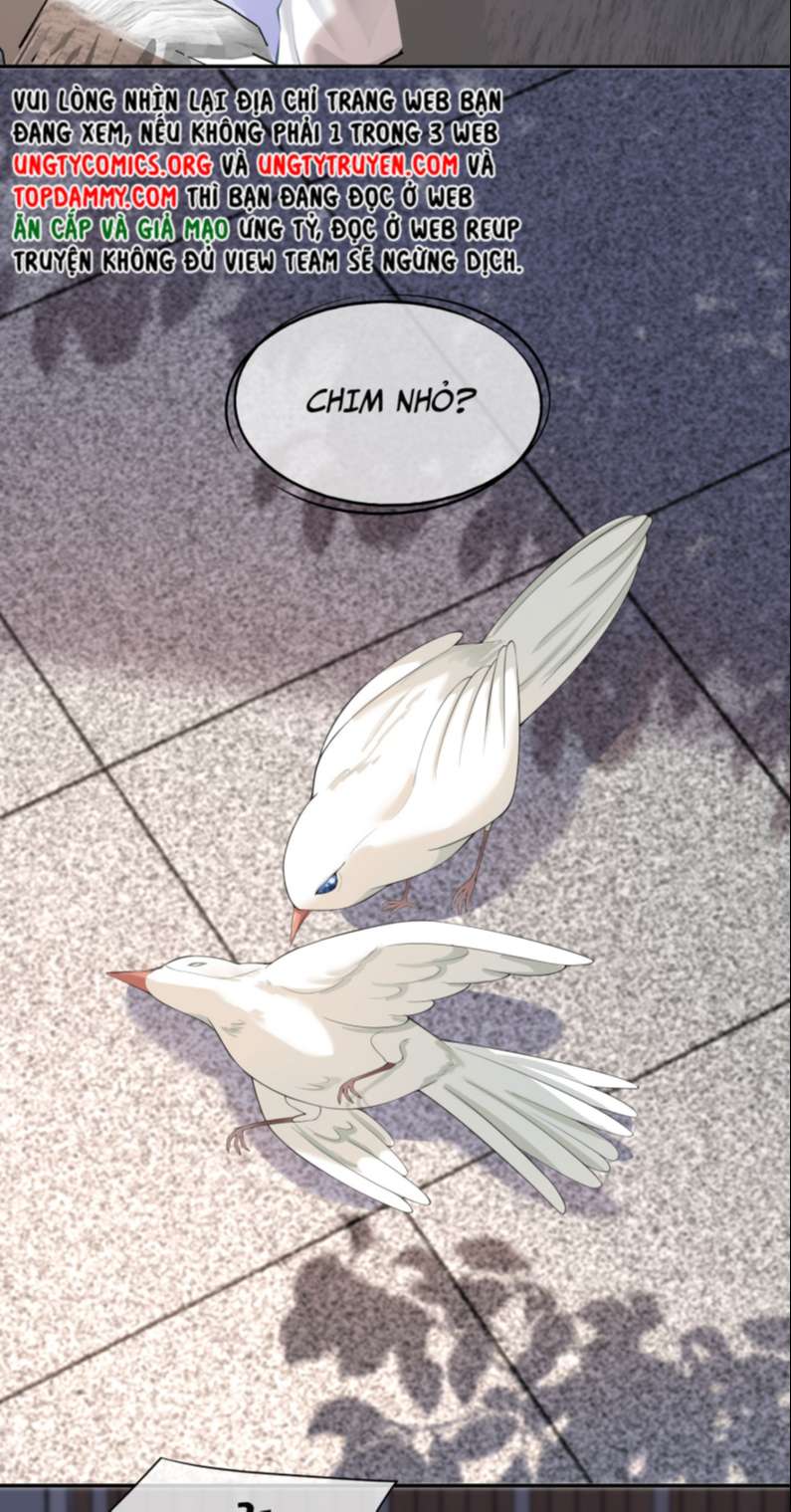 Phương Thức Chính Thức Giải Cứu Tiểu Đáng Thương: Chapter 7