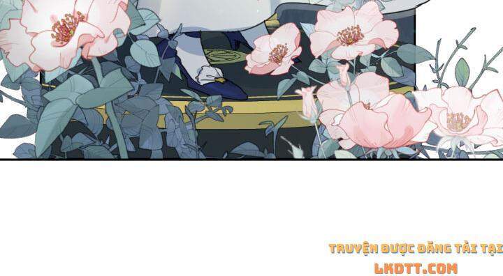 Người Đẹp Và Quái Vật: Chương 48