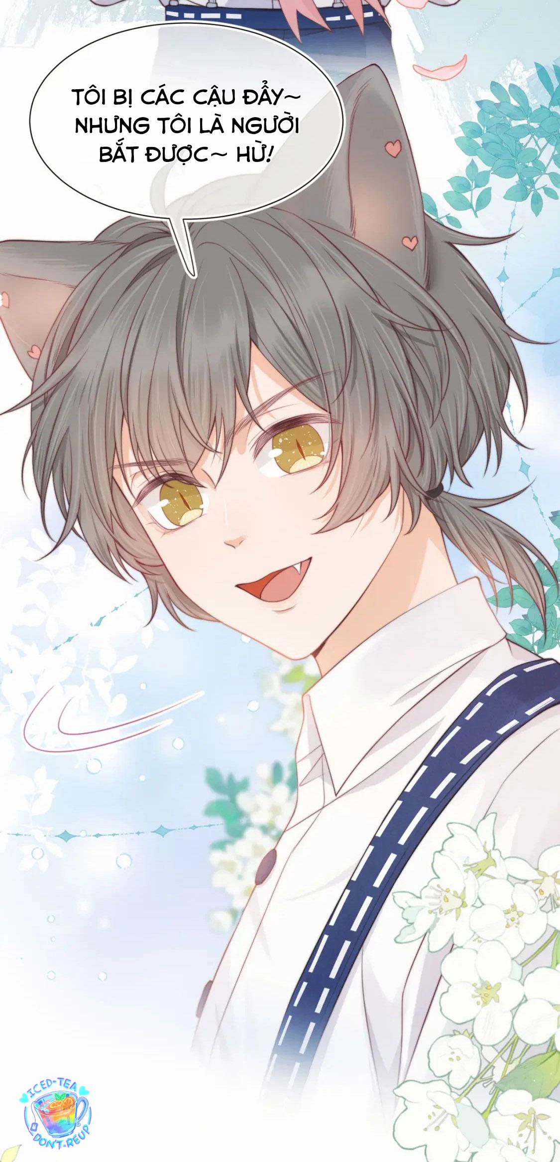 [Ss2] Một Ngụm Ăn Cả Thỏ Con: Chapter 35
