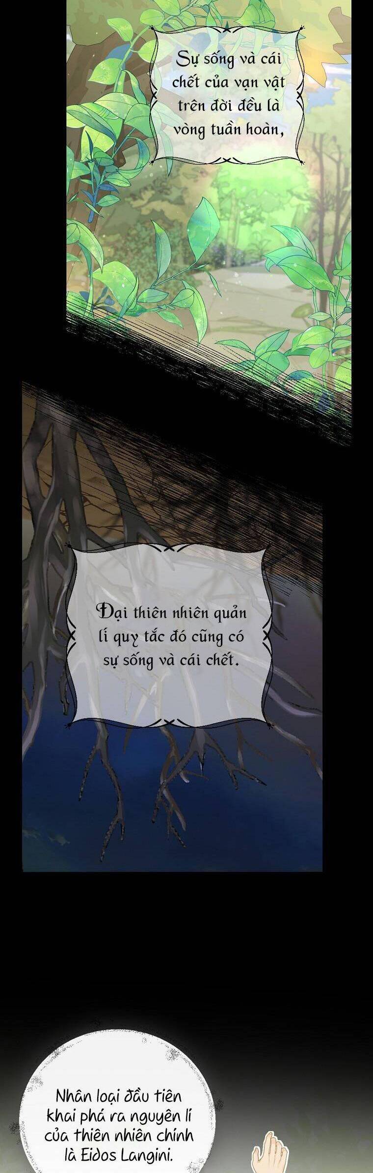 Phu Nhân Mong Manh Yếu Đuối Của Công Tước: Chapter 98
