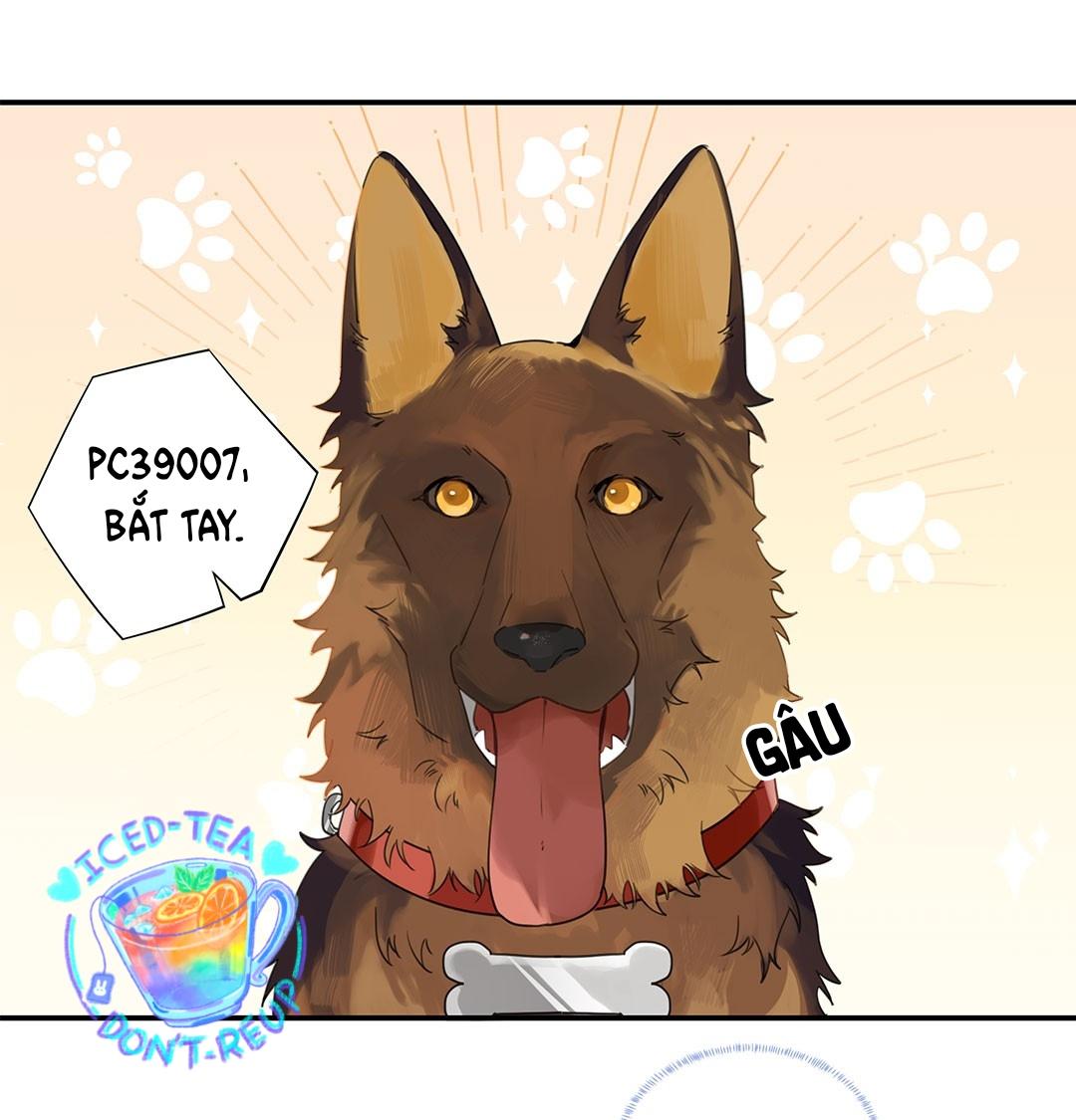 Chào, Đã Lâu Không Gặp: Chapter 12