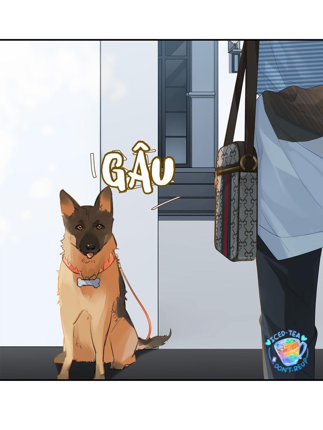Chào, Đã Lâu Không Gặp: Chapter 8