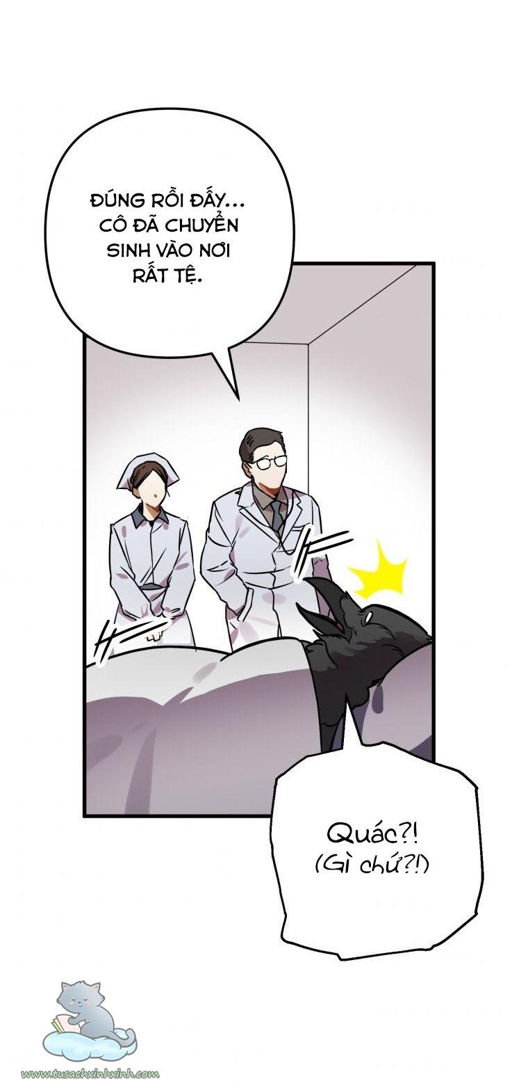 Nàng Quạ Bất Đắc Dĩ: Nàng Quạ Bất Đắc Dĩ – Chap 1