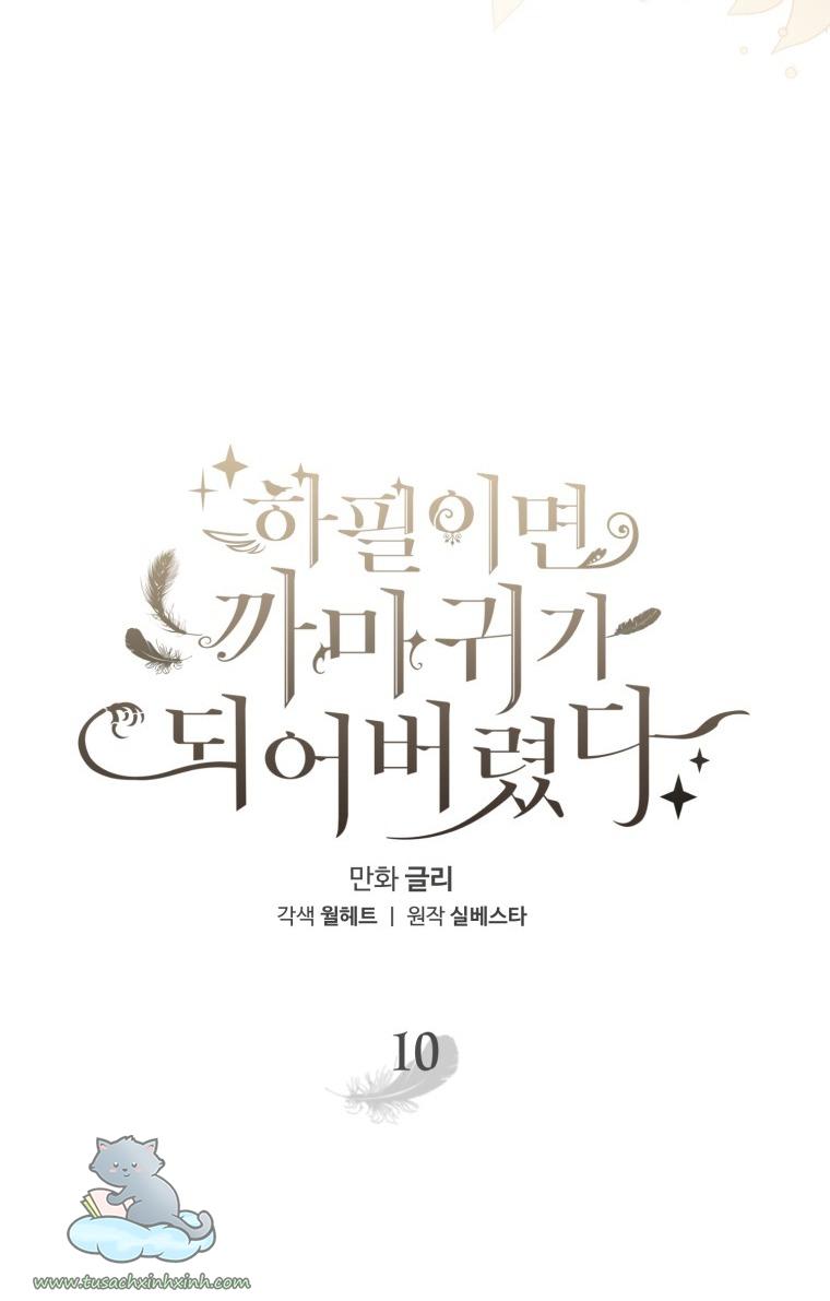 Nàng Quạ Bất Đắc Dĩ: Nàng Quạ Bất Đắc Dĩ – Chap 10