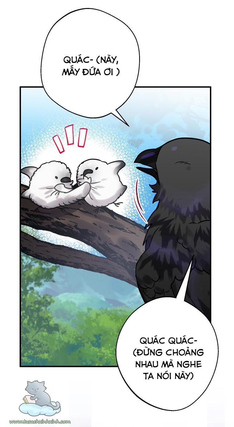 Nàng Quạ Bất Đắc Dĩ: Nàng Quạ Bất Đắc Dĩ – Chap 23