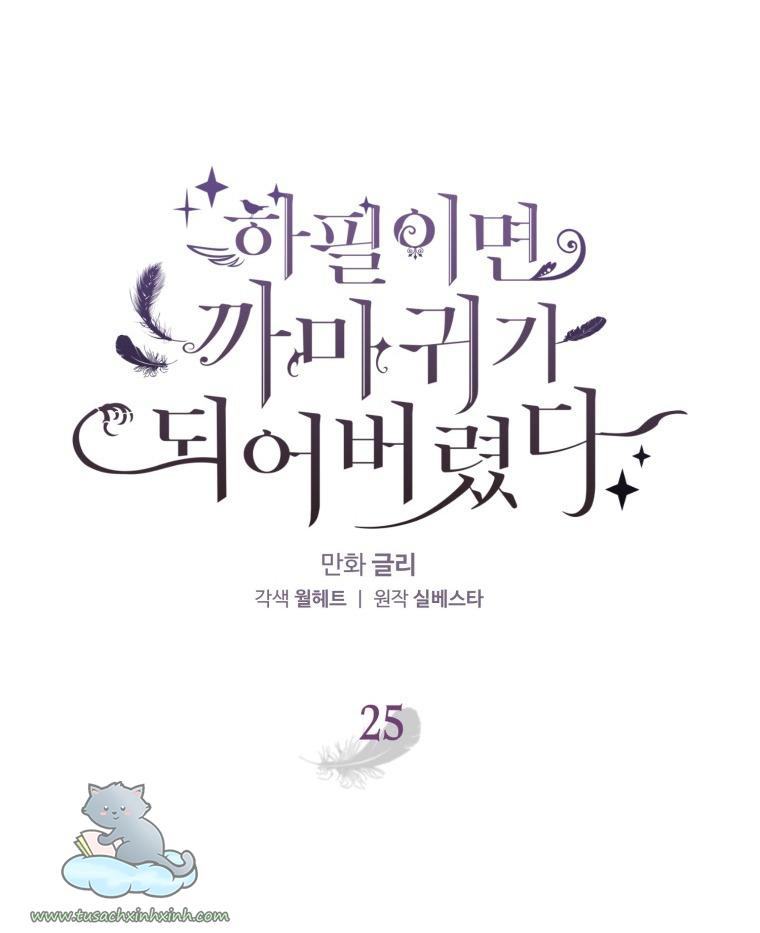 Nàng Quạ Bất Đắc Dĩ: Nàng Quạ Bất Đắc Dĩ – Chap 25