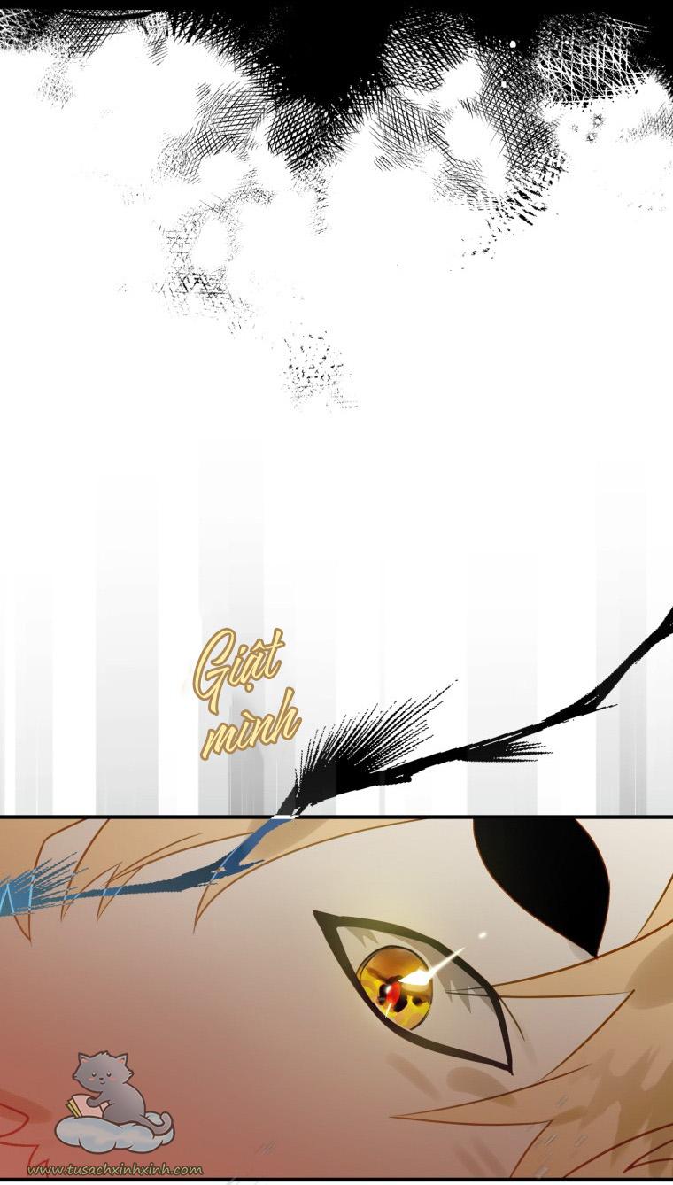 Nàng Quạ Bất Đắc Dĩ: Nàng Quạ Bất Đắc Dĩ – Chap 27