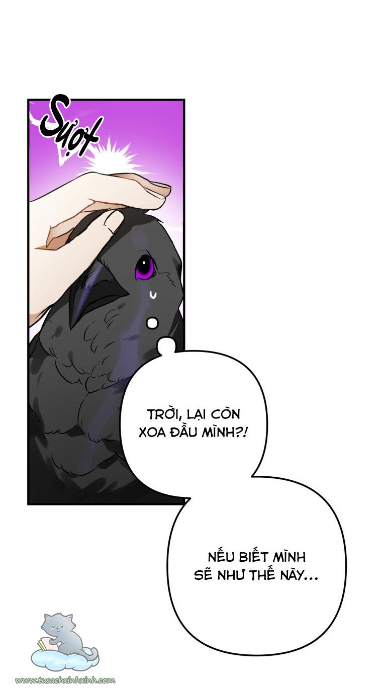 Nàng Quạ Bất Đắc Dĩ: Nàng Quạ Bất Đắc Dĩ – Chap 3