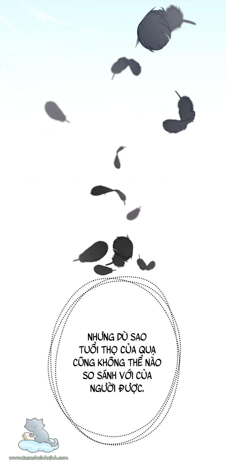 Nàng Quạ Bất Đắc Dĩ: Nàng Quạ Bất Đắc Dĩ – Chap 31
