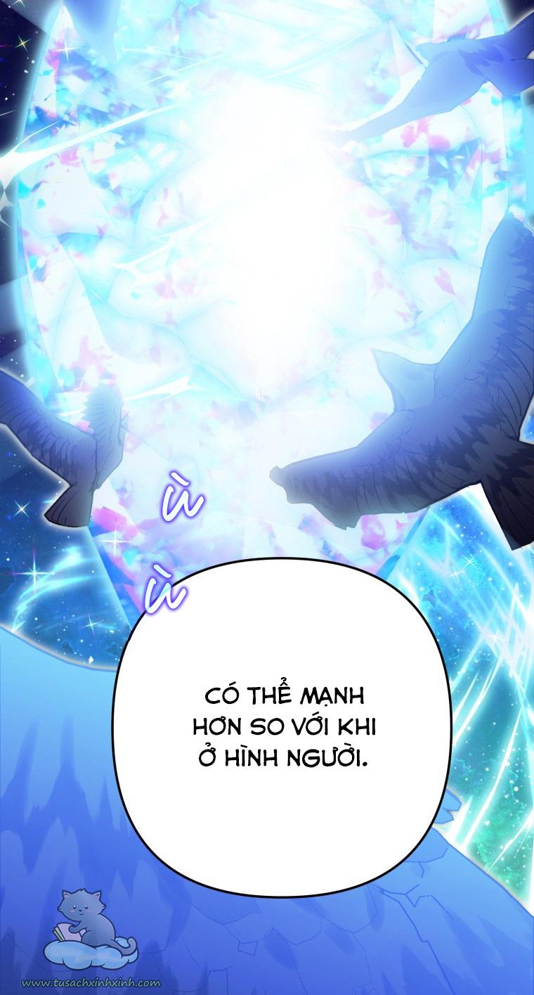 Nàng Quạ Bất Đắc Dĩ: Nàng Quạ Bất Đắc Dĩ – Chap 32