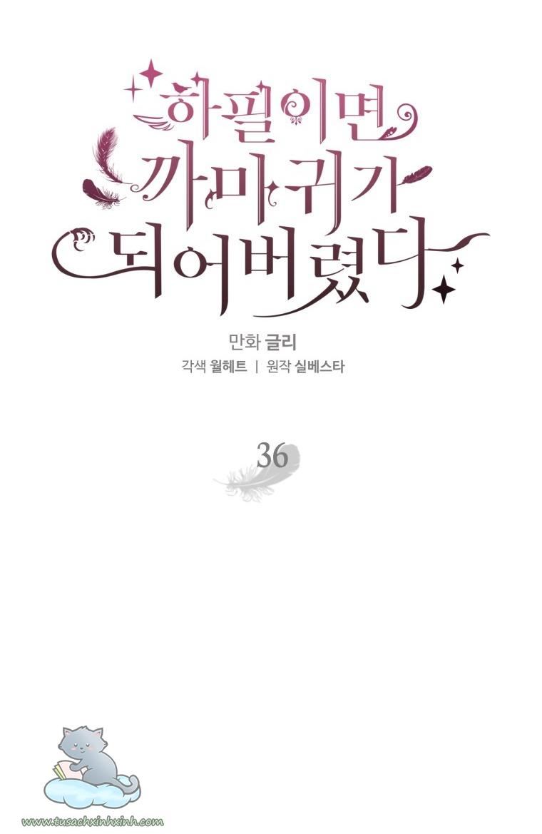 Nàng Quạ Bất Đắc Dĩ: Nàng Quạ Bất Đắc Dĩ – Chap 36
