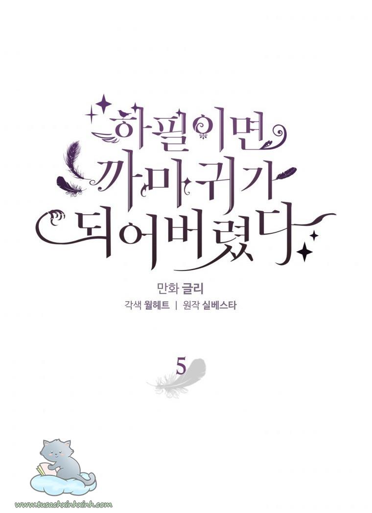 Nàng Quạ Bất Đắc Dĩ: Nàng Quạ Bất Đắc Dĩ – Chap 5