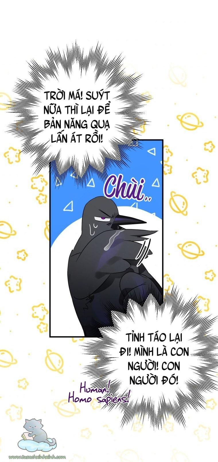 Nàng Quạ Bất Đắc Dĩ: Nàng Quạ Bất Đắc Dĩ – Chap 6