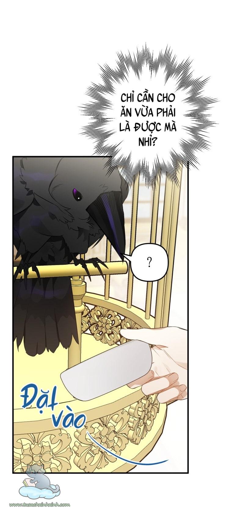 Nàng Quạ Bất Đắc Dĩ: Nàng Quạ Bất Đắc Dĩ – Chap 6