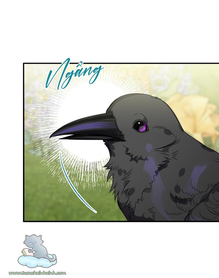 Nàng Quạ Bất Đắc Dĩ: Nàng Quạ Bất Đắc Dĩ – Chap 8