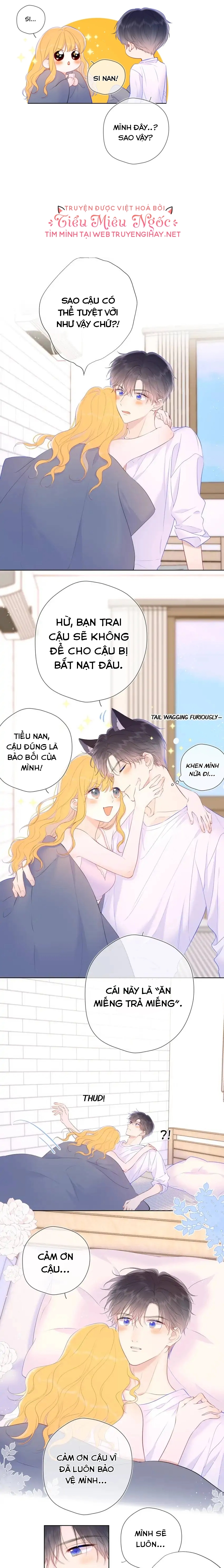 Vì Sao Của Tôi: Chapter 124