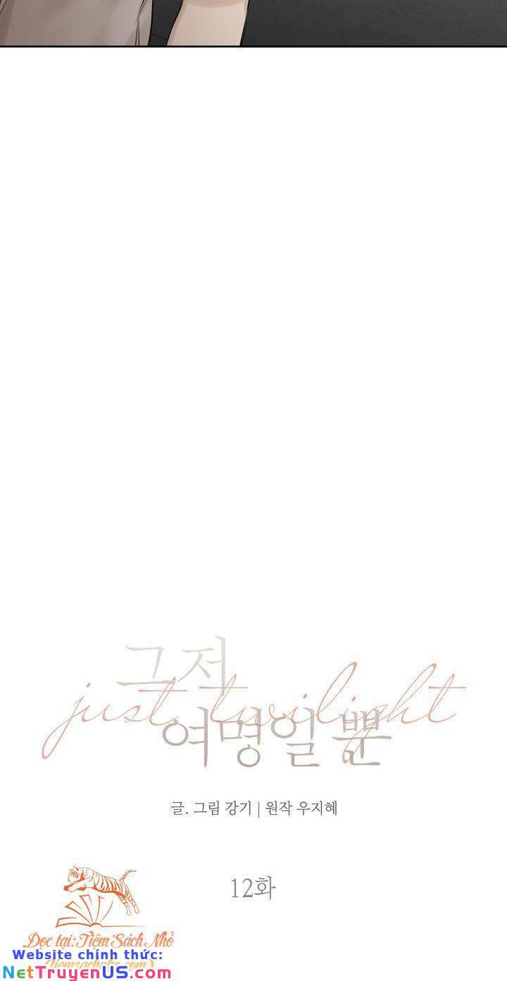Khu Chợ Lúc Chạng Vạng Và Những Câu Chuyện Về Thế Giới Bên Kia: Chapter 12