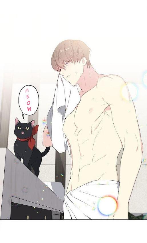 Starlight Scandal.: Chapter 1