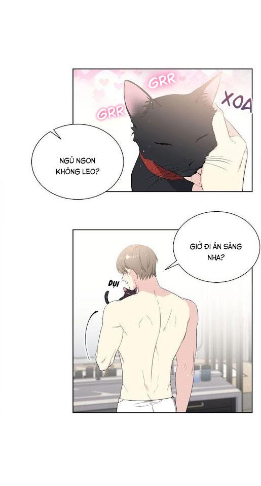 Starlight Scandal.: Chapter 1