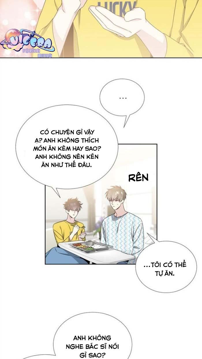 Starlight Scandal.: Chapter 17
