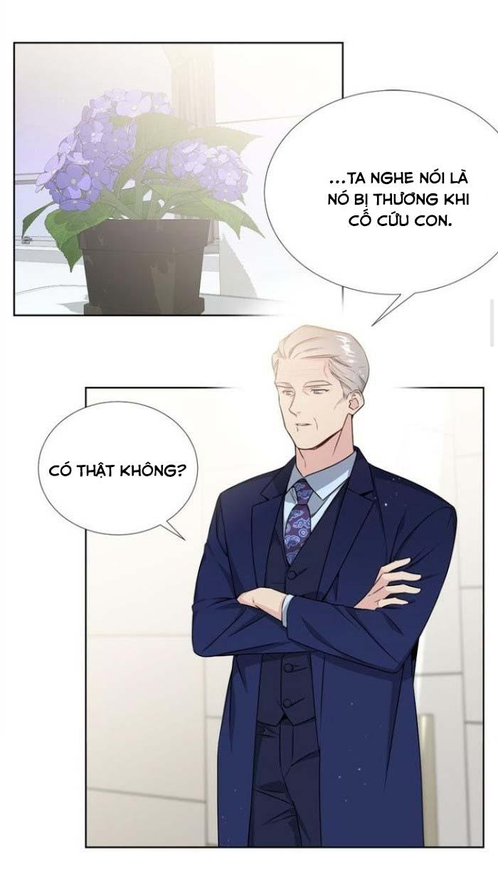 Starlight Scandal.: Chapter 17
