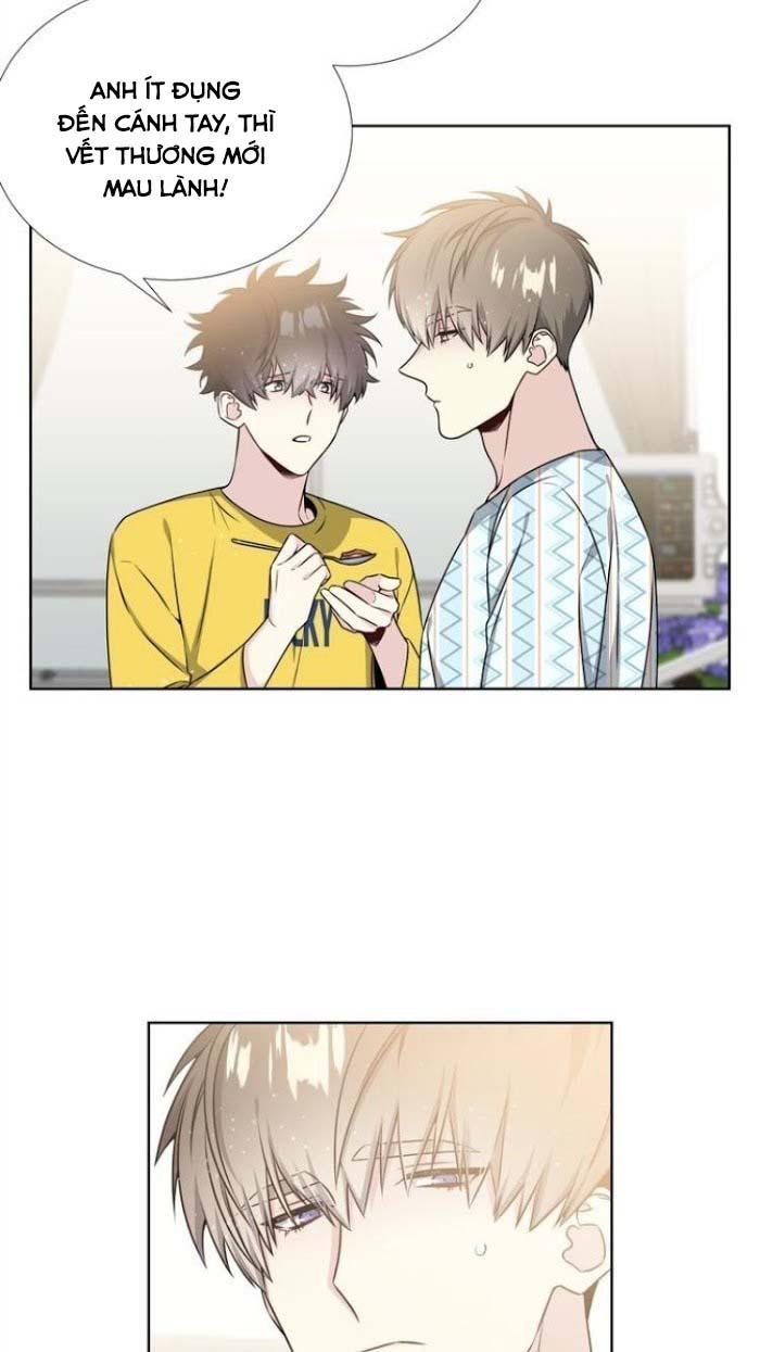 Starlight Scandal.: Chapter 17