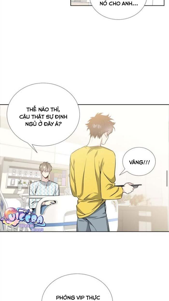 Starlight Scandal.: Chapter 17