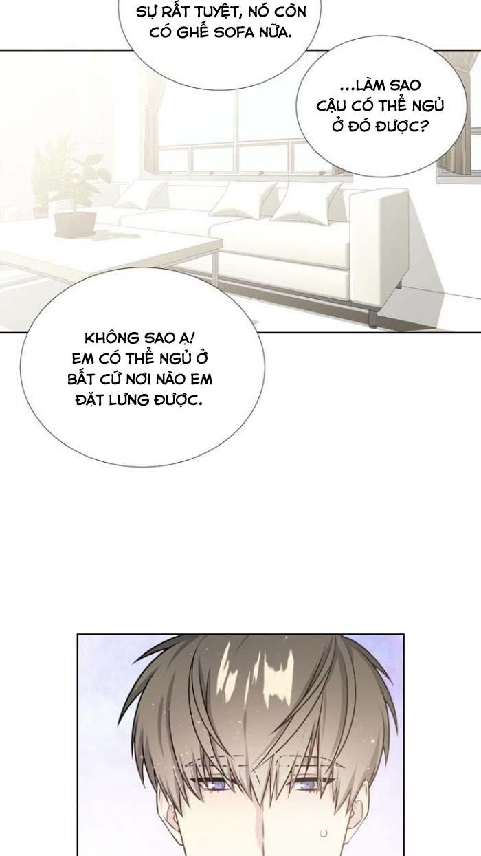 Starlight Scandal.: Chapter 17