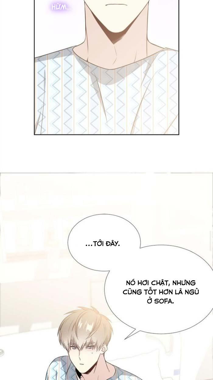 Starlight Scandal.: Chapter 17