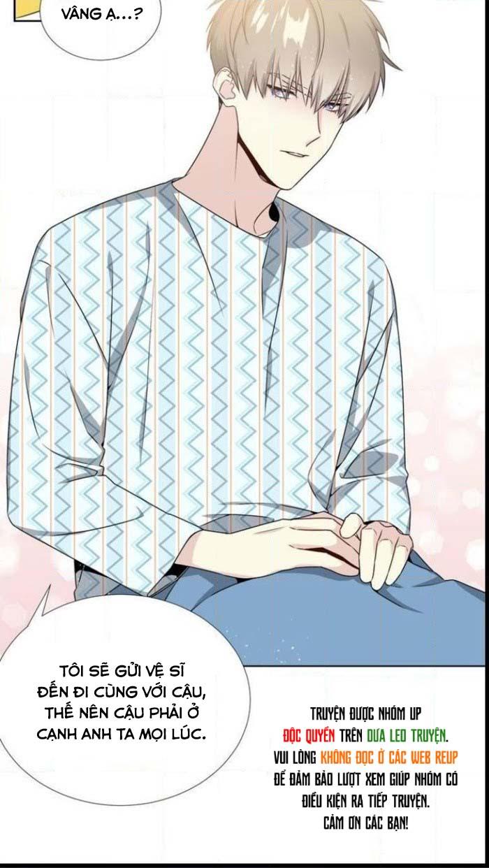 Starlight Scandal.: Chapter 17
