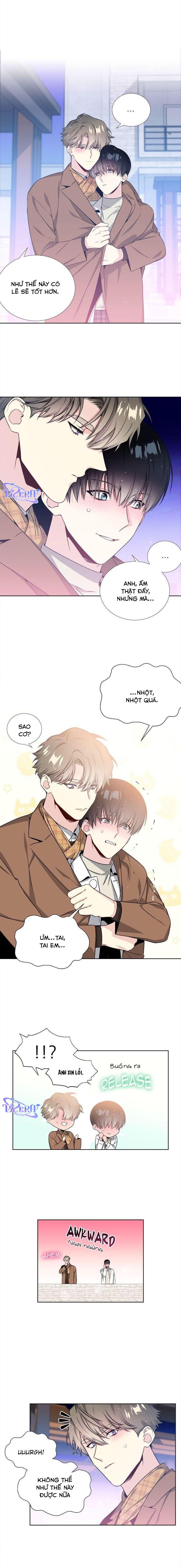 Starlight Scandal.: Chapter 26