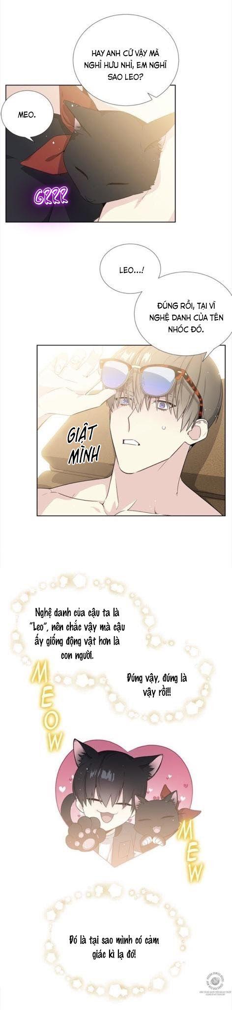Starlight Scandal.: Chapter 5