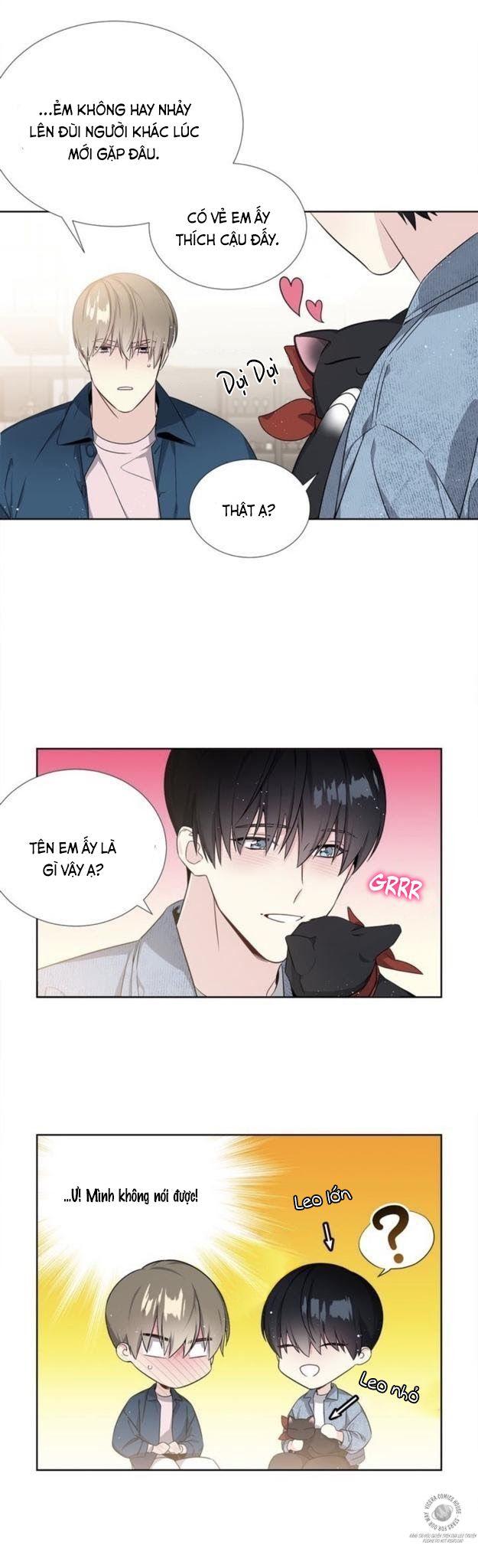 Starlight Scandal.: Chapter 5