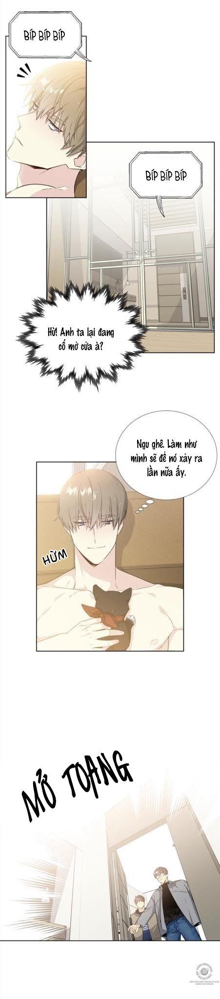 Starlight Scandal.: Chapter 5