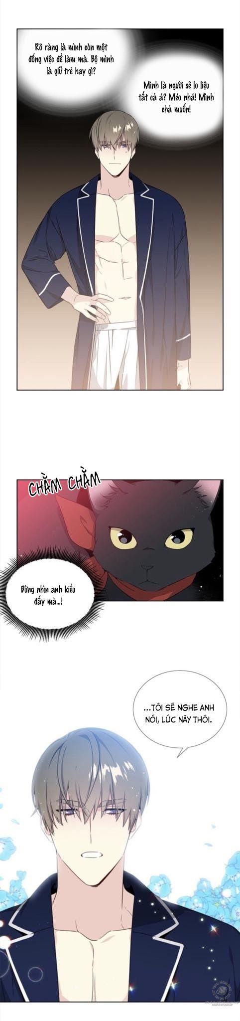 Starlight Scandal.: Chapter 5