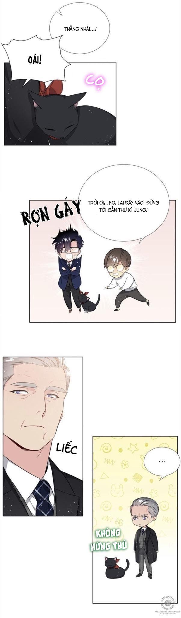 Starlight Scandal.: Chapter 6