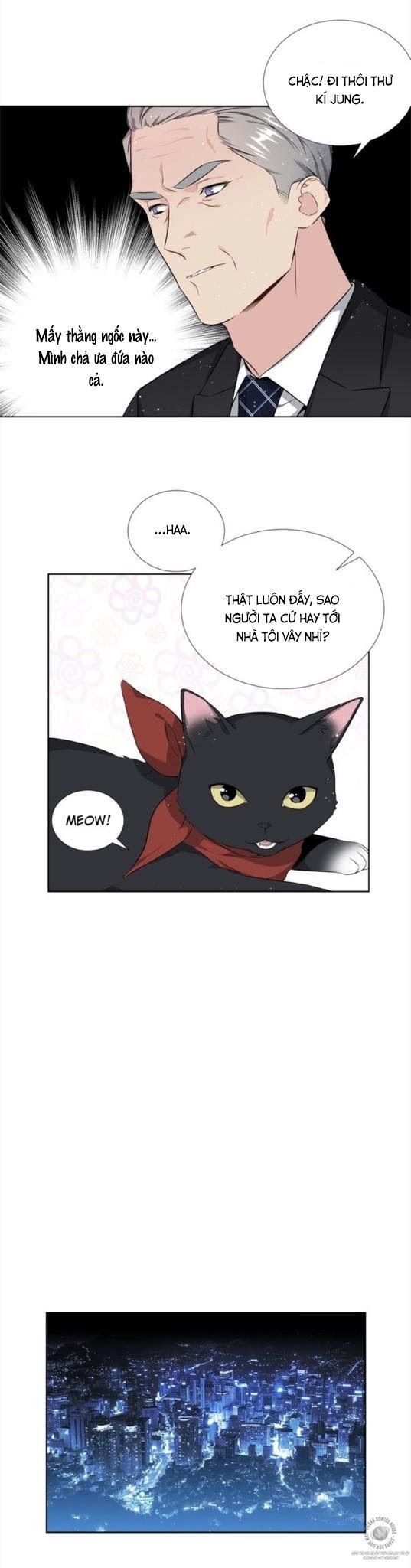 Starlight Scandal.: Chapter 6