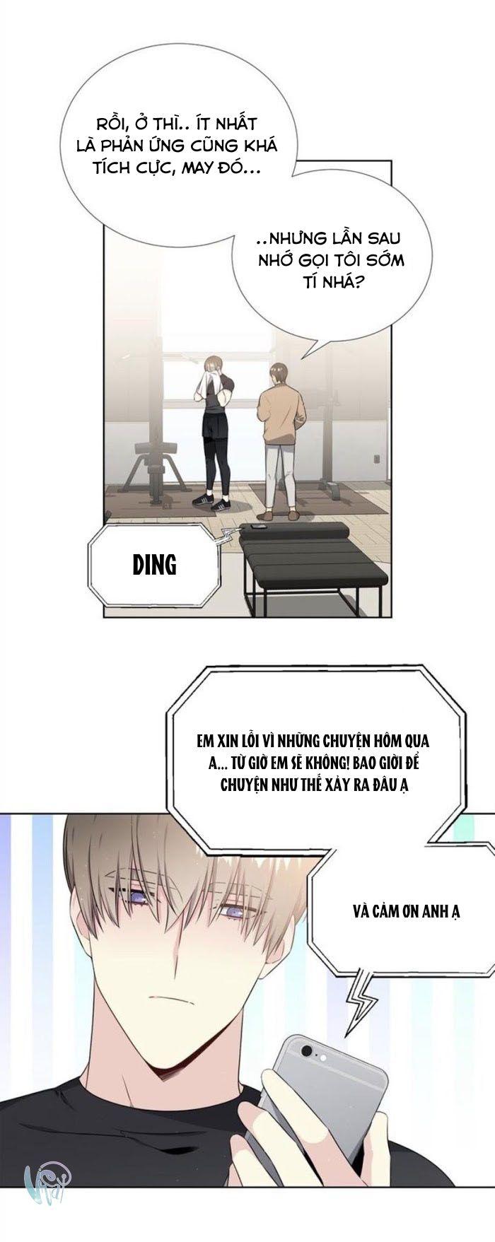 Starlight Scandal.: Chapter 8