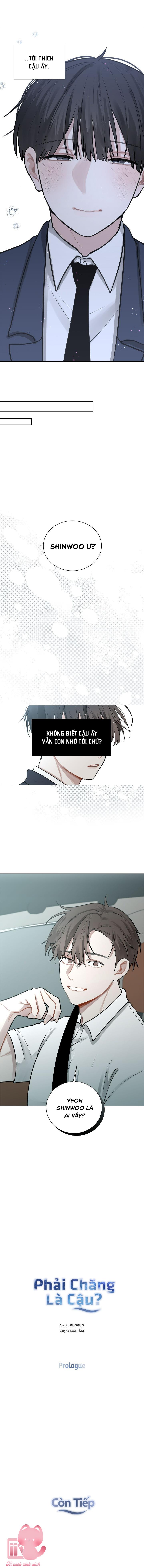 Phải chăng là cậu?: Phải chăng là cậu? – Chap 0
