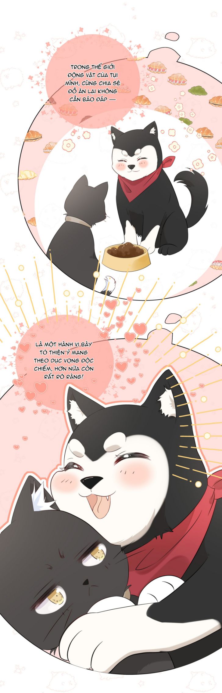 Dinh Dưỡng Quá Tốt: Chapter 11