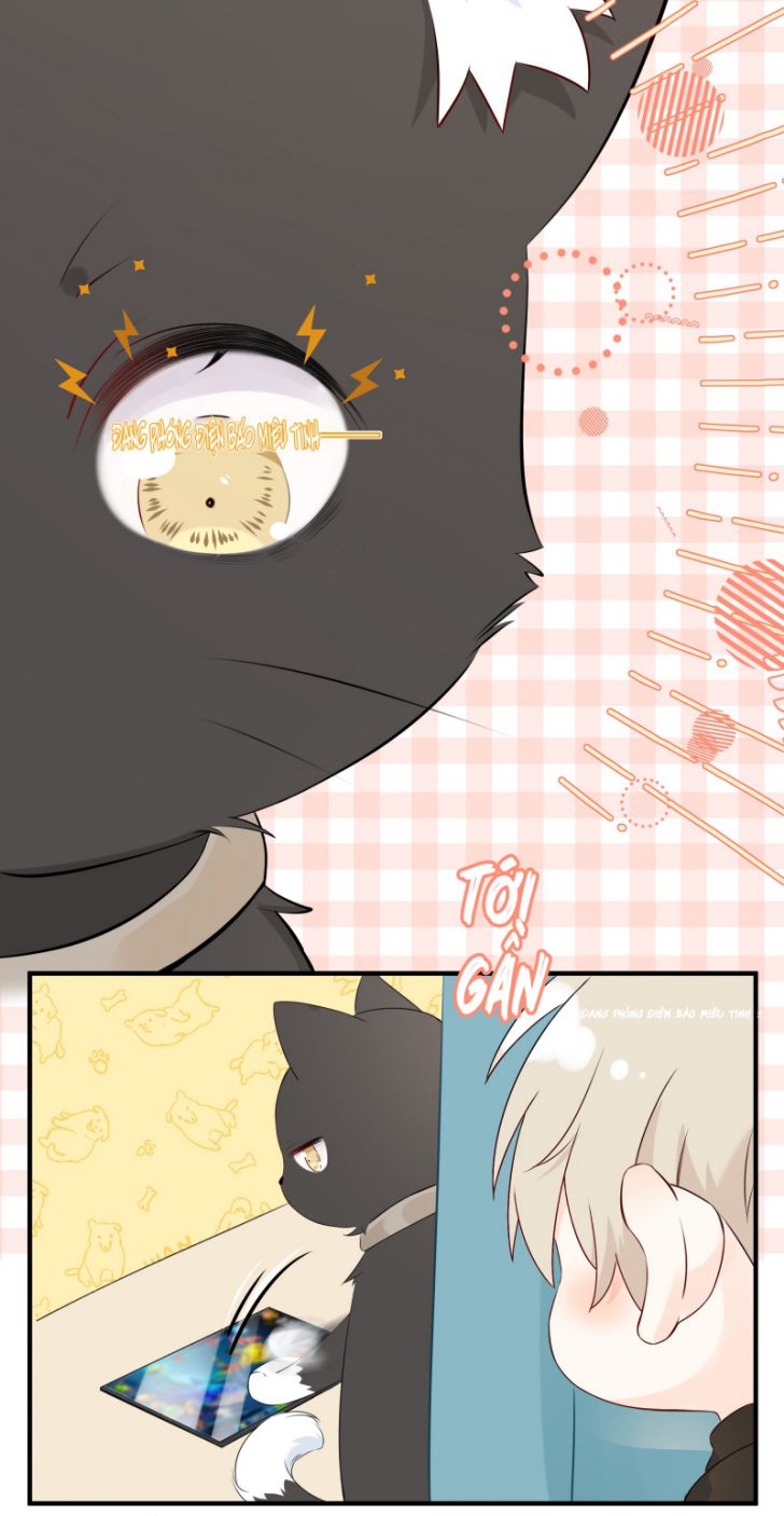 Dinh Dưỡng Quá Tốt: Chapter 11