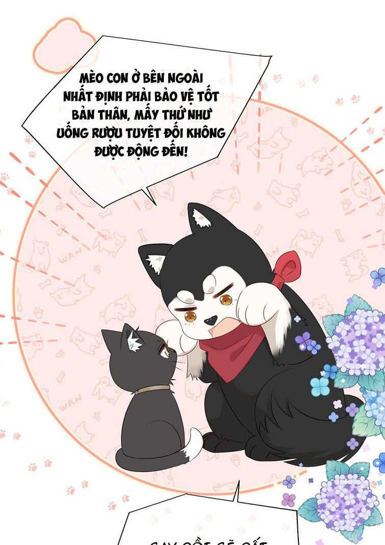 Dinh Dưỡng Quá Tốt: Chapter 14