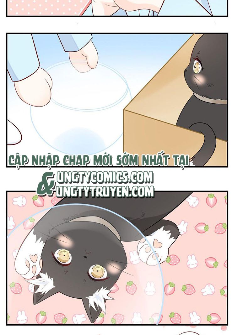 Dinh Dưỡng Quá Tốt: Chapter 14